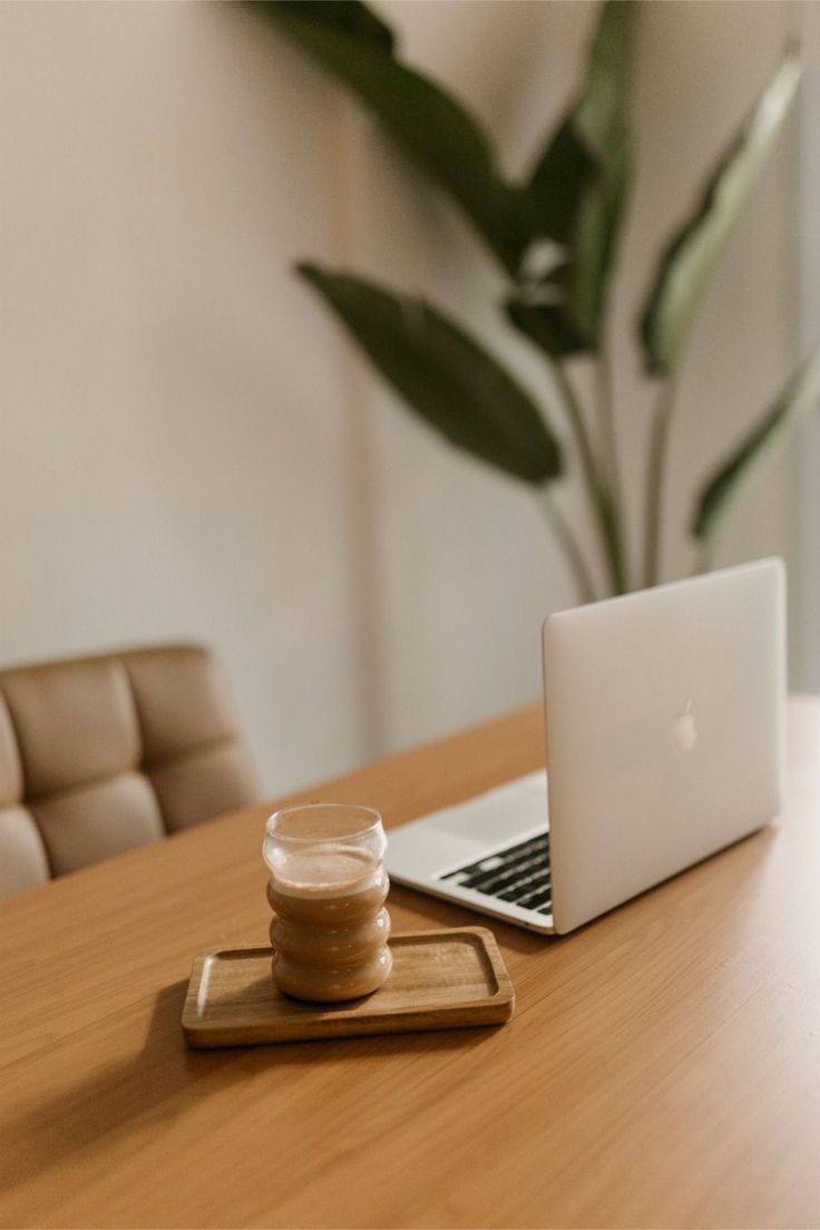 Plano Equilíbrio — Acompanhamento Mensal